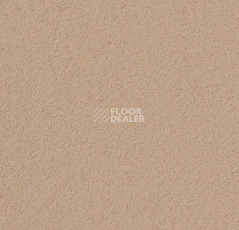 Линолеум Forbo Bulletin Board 2186 blanched almond фото 1 | FLOORDEALER